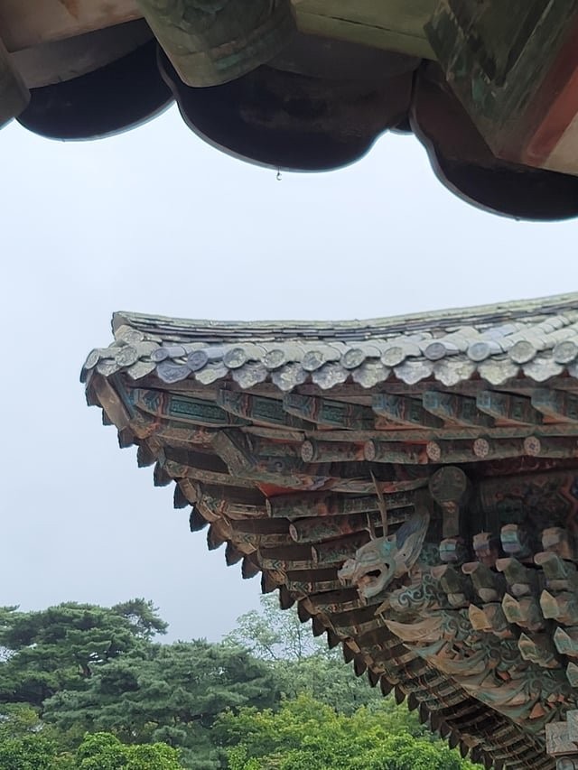 외국인이 여행와서 찍은 경주 사진들-3
