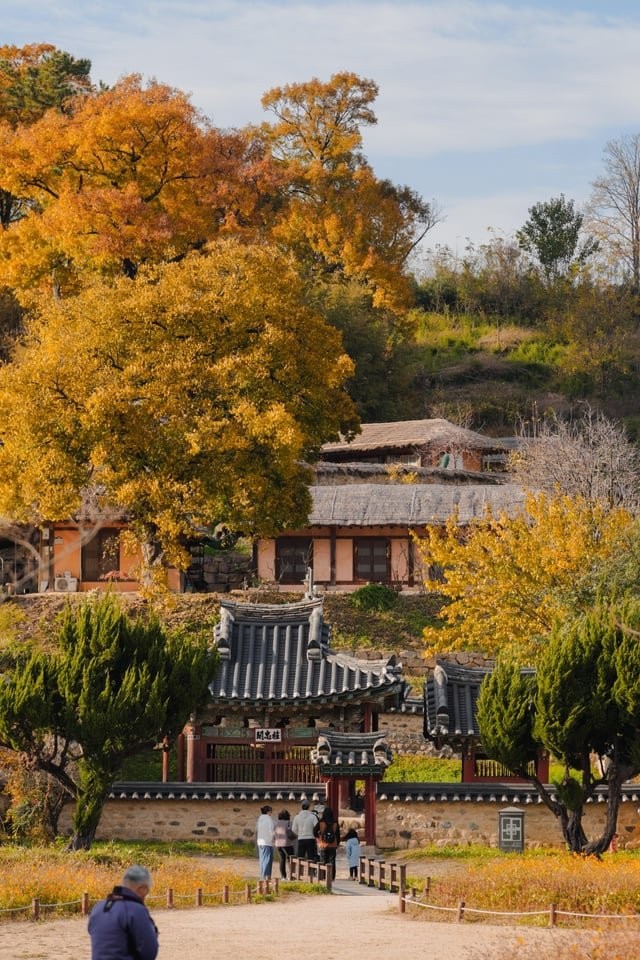 외국인이 여행와서 찍은 경주 사진들-11
