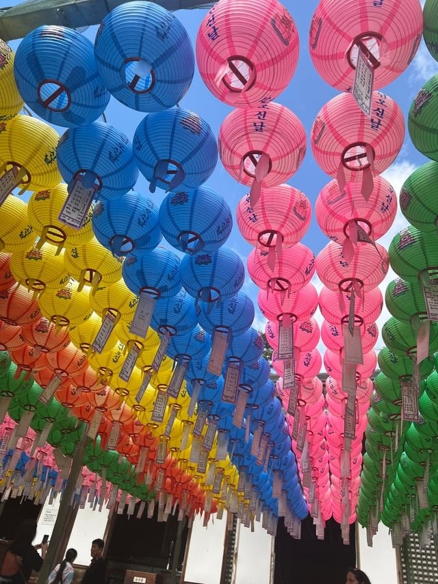 외국인이 여행와서 찍은 경주 사진들-15
