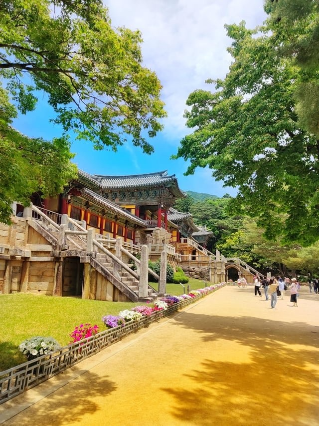 외국인이 여행와서 찍은 경주 사진들-18