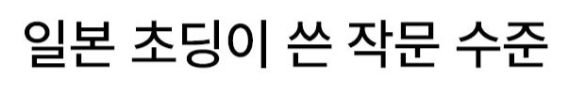 일본 잼민이가 쓴 작문 수준