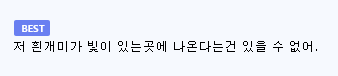 청소 도중 벌레 나왔다고 사기친 청소업체-3