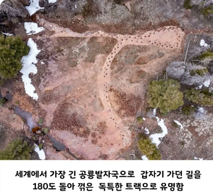 고민이 많아 보였던 공룡의 발자국