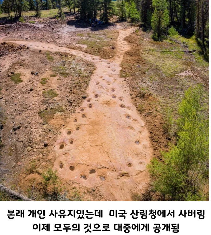 고민이 많아 보였던 공룡의 발자국-2