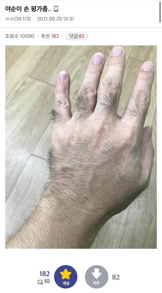 디시인 손 인증 레전드