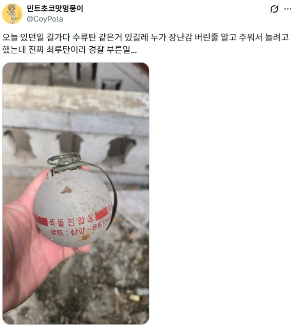 남양주에서 길가다가 수류탄 주운 트위터인