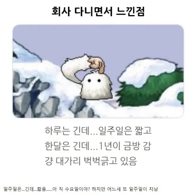 회사다니면서 느낀 요상한 시간의 흐름 