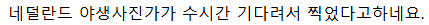 한 네덜란드 작가가 찍은 꽃 냄새 맡는 다람쥐 사진 -4