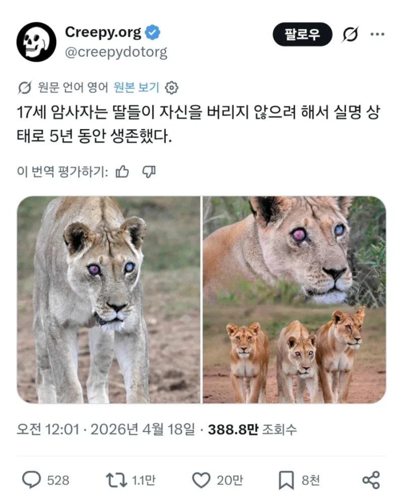 야생에서 5년 생존하기