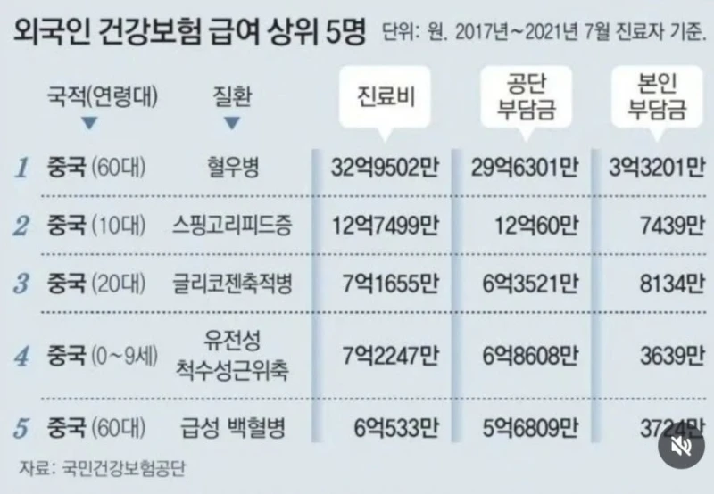 외국인 건강보험 급여 상위 5명 국적