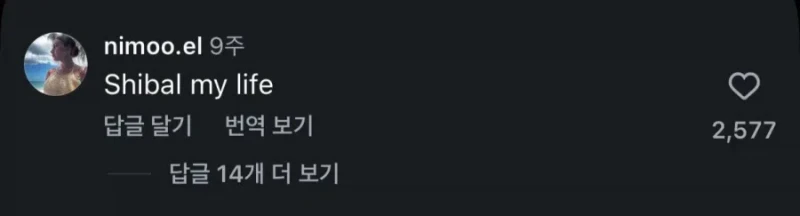 한국이 진짜 사랑의 도시라는 외국 인스타-2