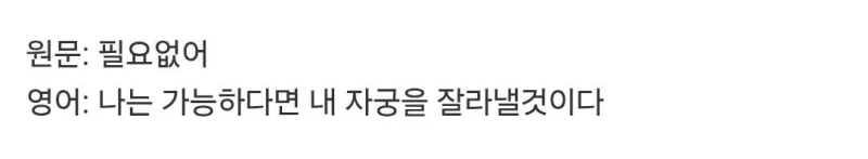 해외에서 불타고 있는 게임 영어 번역-8