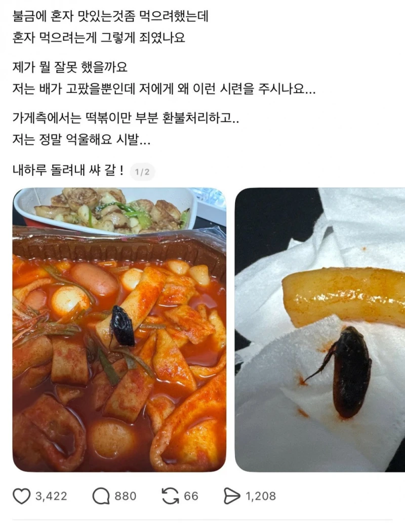 혐주의) 삼첩분식 사과문 -2