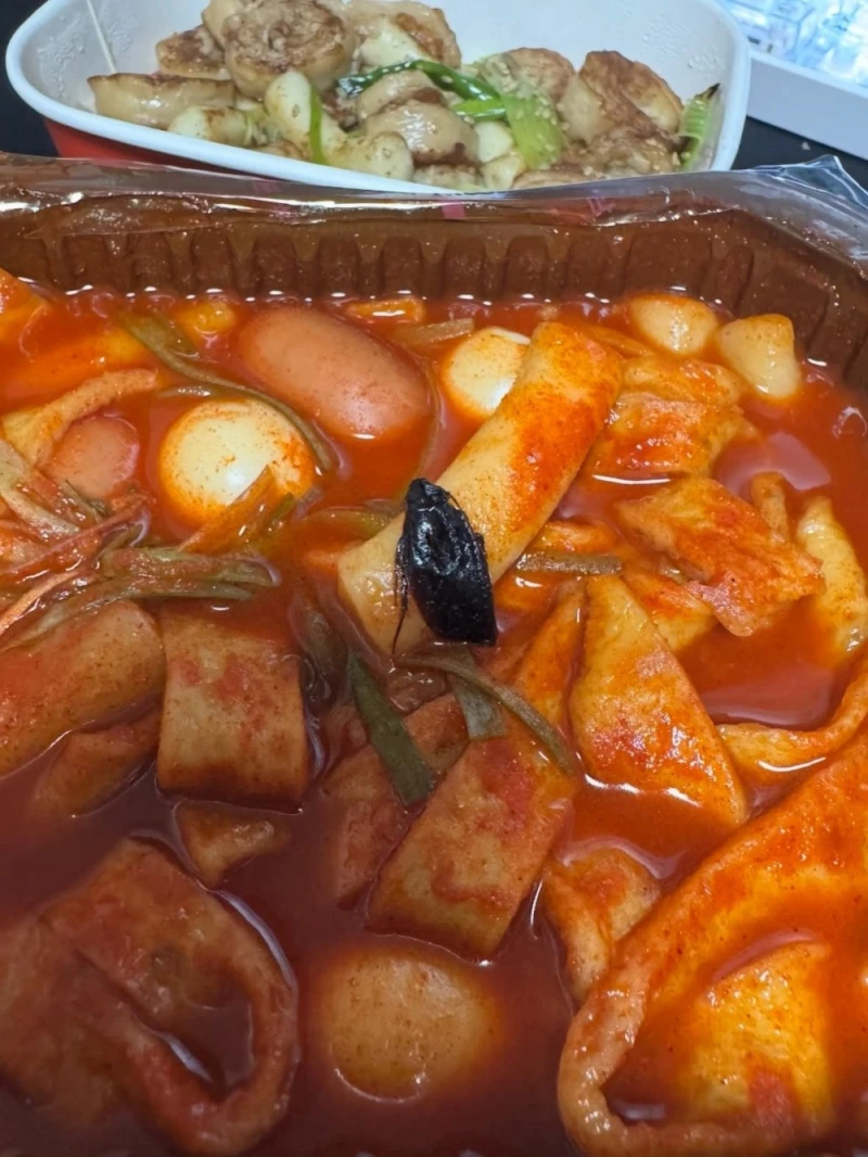 혐주의) 삼첩분식 사과문 -3