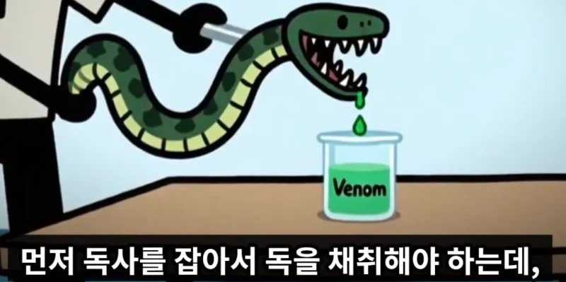 매년 뱀독으로 전세계 수만명이상 사람이 사망하는 이유 -3