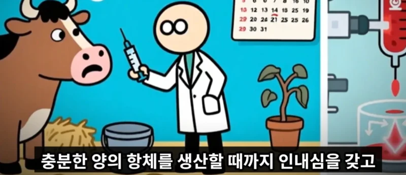 매년 뱀독으로 전세계 수만명이상 사람이 사망하는 이유 -7