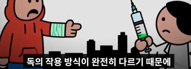 매년 뱀독으로 전세계 수만명이상 사람이 사망하는 이유 -9