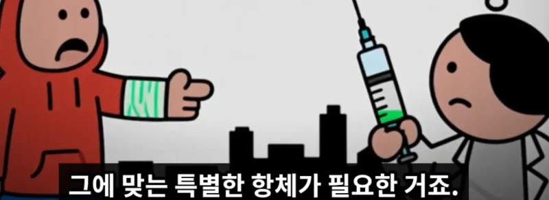 매년 뱀독으로 전세계 수만명이상 사람이 사망하는 이유 -10