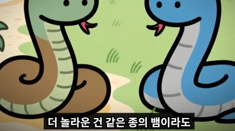매년 뱀독으로 전세계 수만명이상 사람이 사망하는 이유 -11