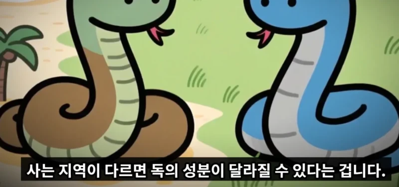 매년 뱀독으로 전세계 수만명이상 사람이 사망하는 이유 -12