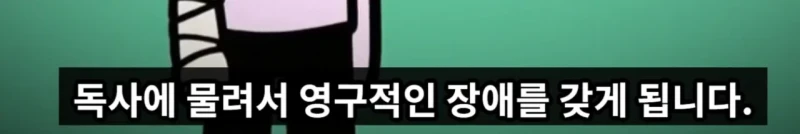 매년 뱀독으로 전세계 수만명이상 사람이 사망하는 이유 -19