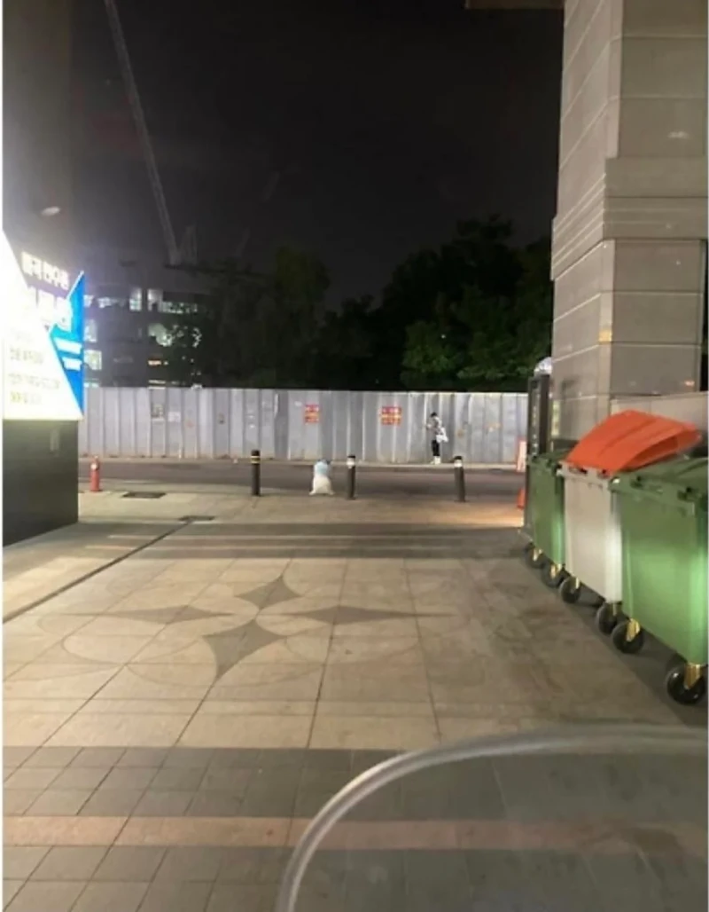 길거리에 쪼그려앉아 울고있는 대한항공 승무원