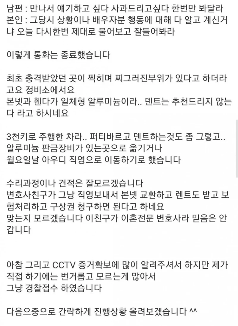 어린이의 아우디 R8 차량손괴 사고, 후일담-6