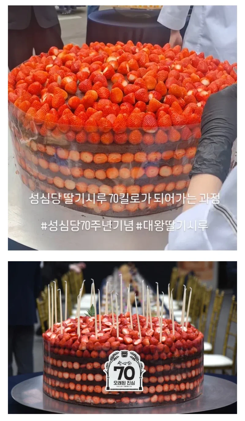 성심당 70주년 딸기시루 70kg짜리 공개