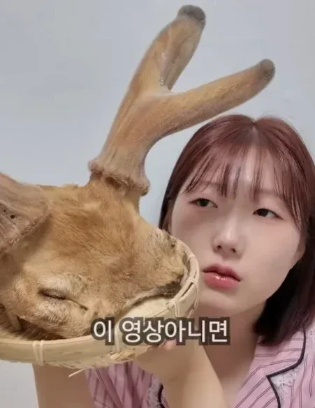 점점 기괴한 요리를 하고 있는 채널 
