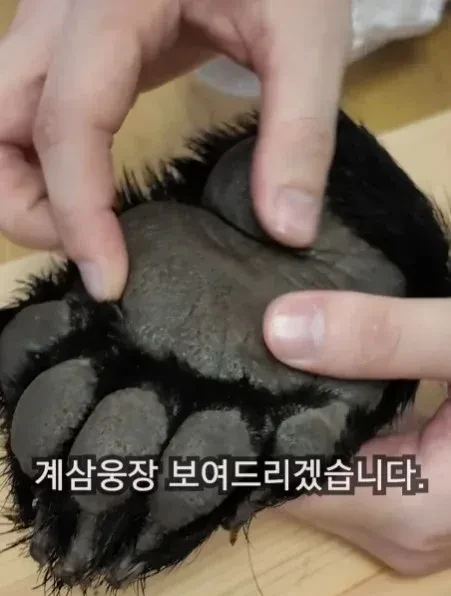 점점 기괴한 요리를 하고 있는 채널 -3