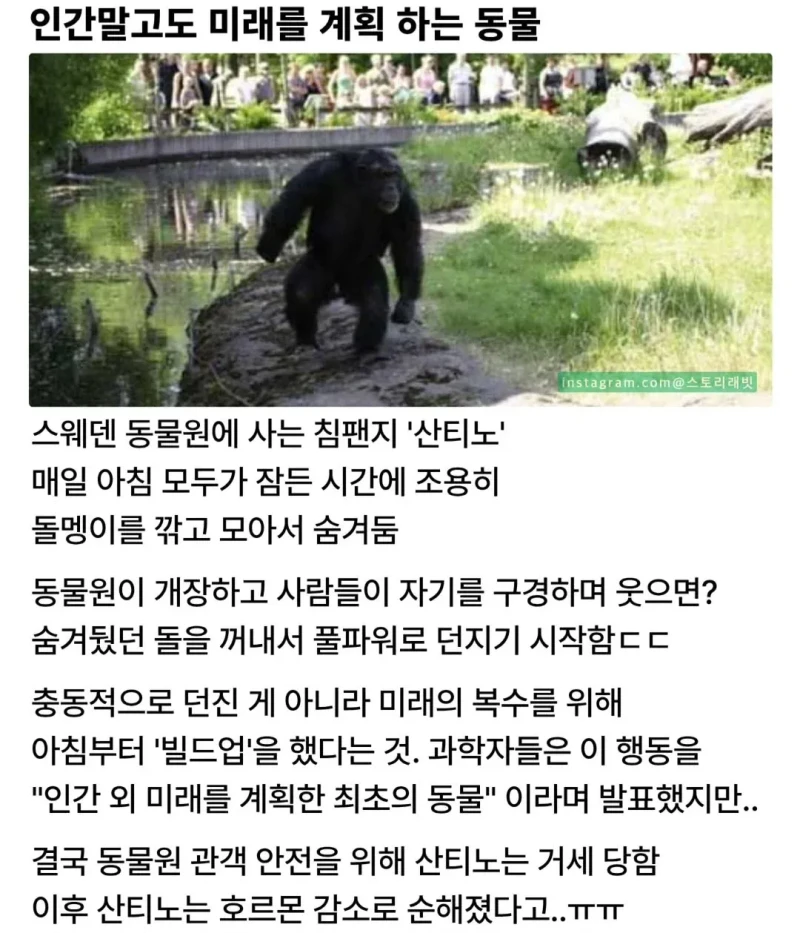 너무 똑똑한 동물의 최후
