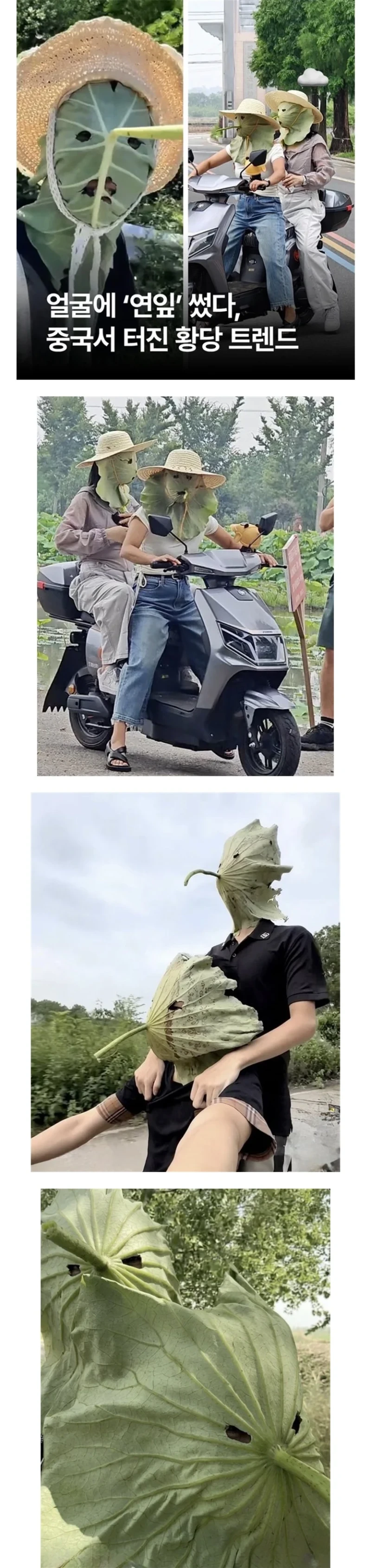 중국에서 퍼지고 있다는 햇빛차단법
