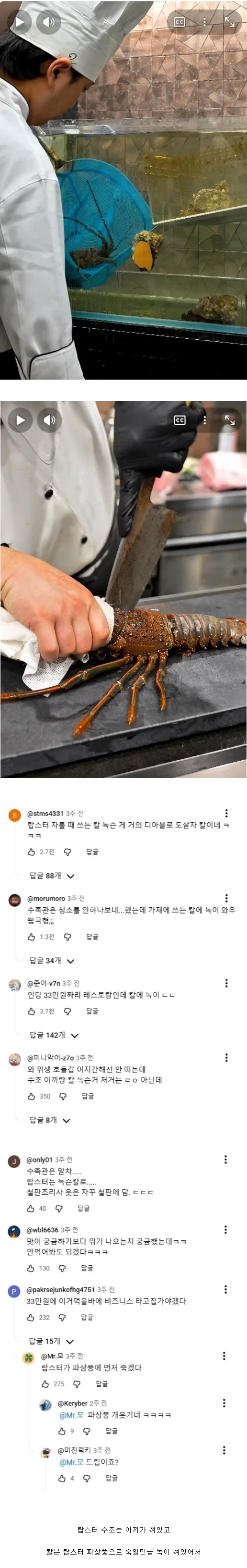 일본 33만원 철판 오마카세 영상 댓글 반응이 별로였던 이유