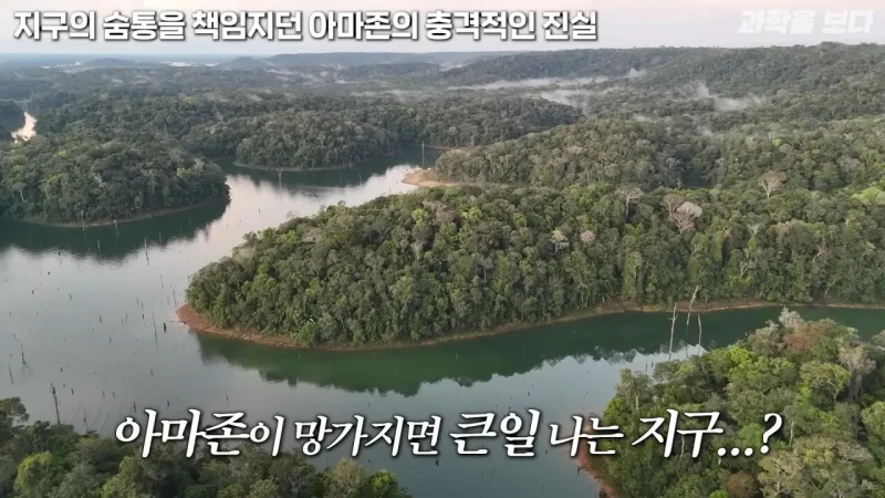 의외로 지구의 허파가 아니라는 아마존 -2