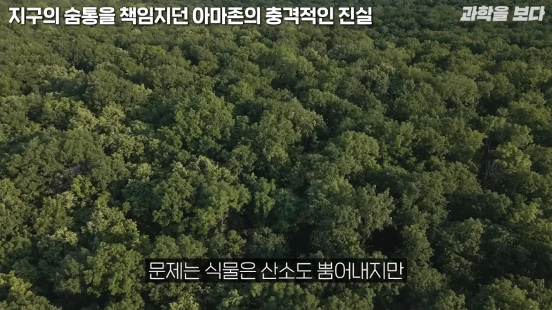 의외로 지구의 허파가 아니라는 아마존 -3