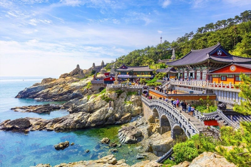 외국인들이 부산 오면 환장하는 이유-6