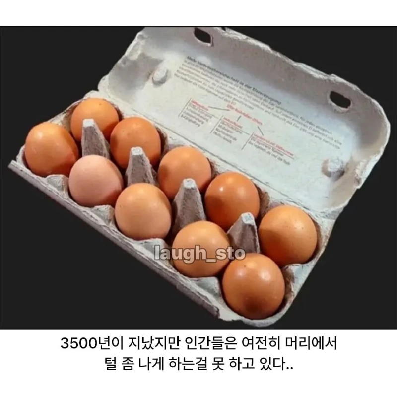 인류가 3,500년 동안 정복하지 못 한 것-4