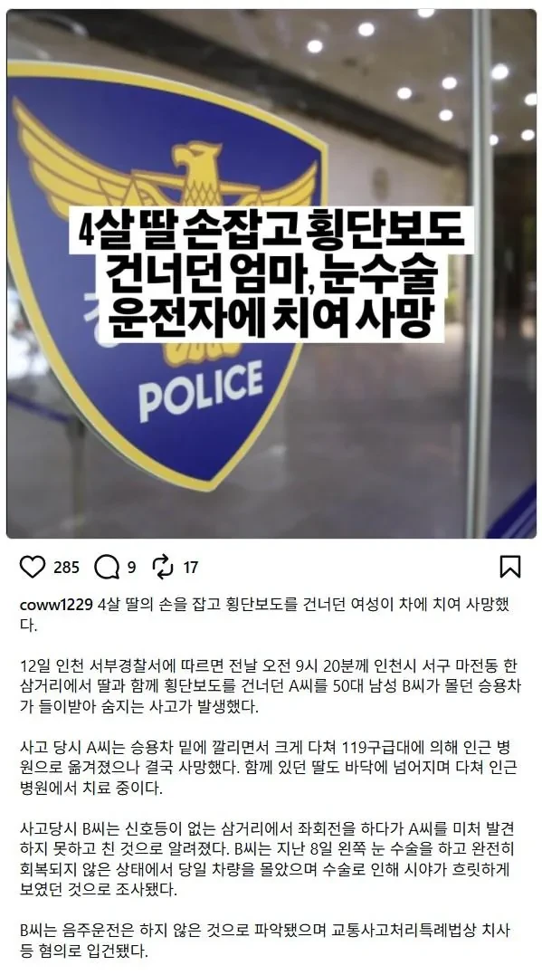 눈 수술한 운전자에게 치어 사망