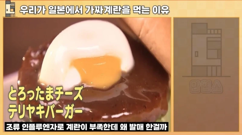 일본에서 우리가 가짜 계란을 먹는 이유-4