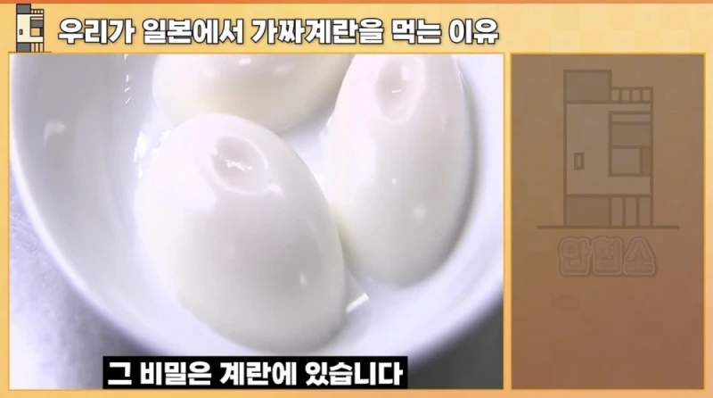 일본에서 우리가 가짜 계란을 먹는 이유-5