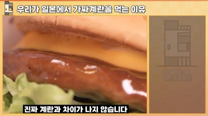일본에서 우리가 가짜 계란을 먹는 이유-6