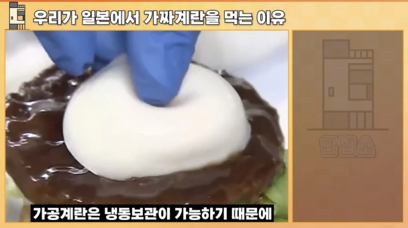 일본에서 우리가 가짜 계란을 먹는 이유-7
