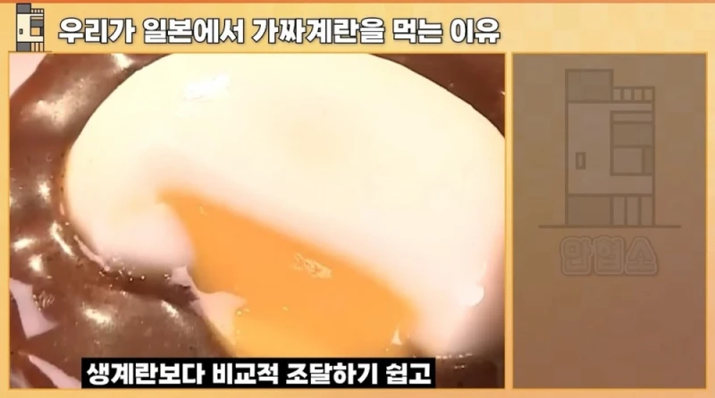 일본에서 우리가 가짜 계란을 먹는 이유-8