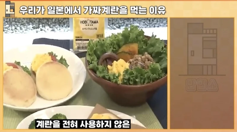 일본에서 우리가 가짜 계란을 먹는 이유-20