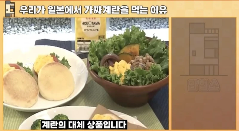 일본에서 우리가 가짜 계란을 먹는 이유-21
