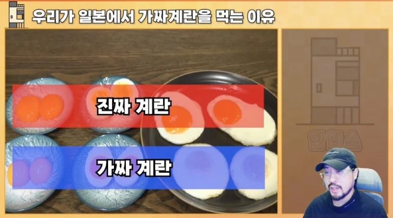 일본에서 우리가 가짜 계란을 먹는 이유-27