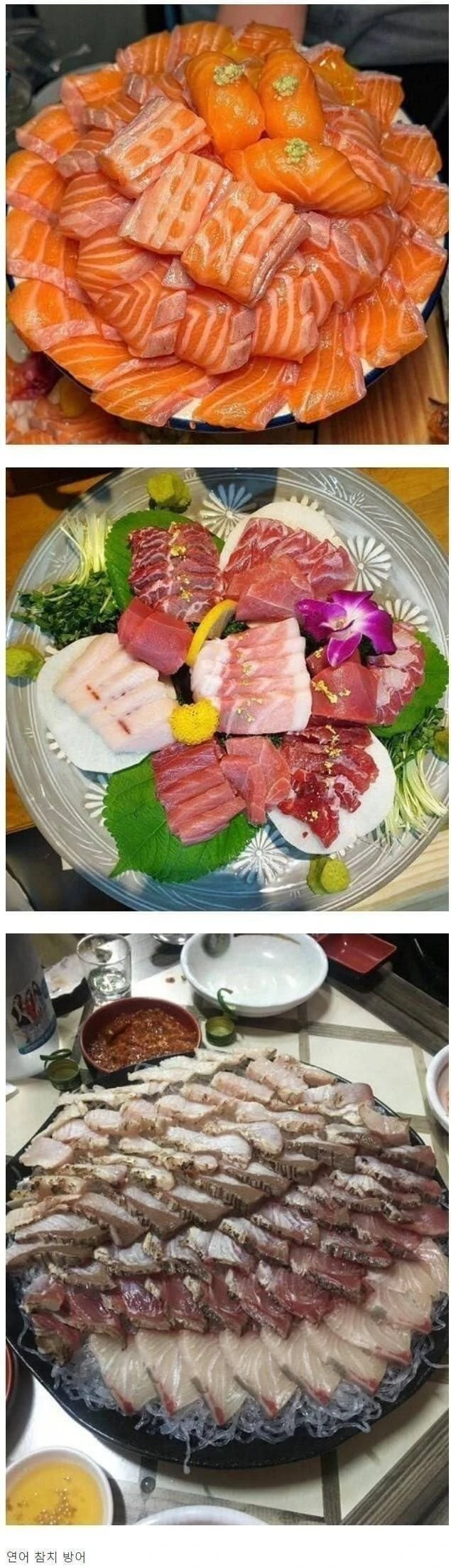 느끼한 회 삼대장 호불호