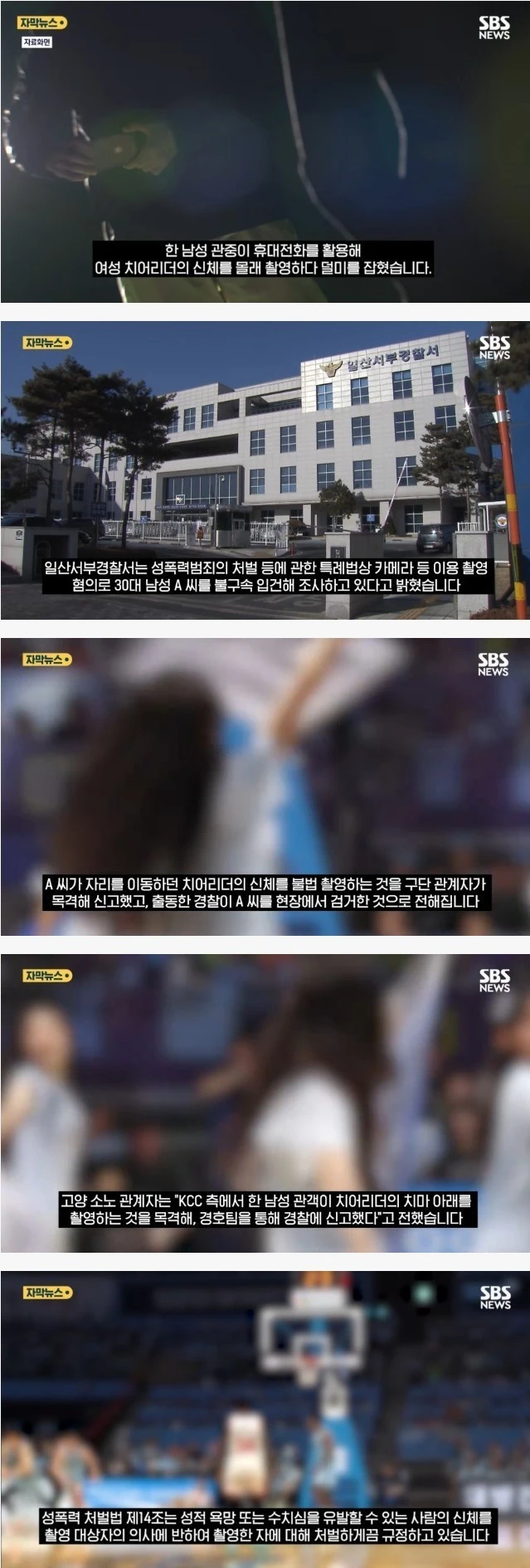 치어리더 불법 촬영 30대 남성 입건