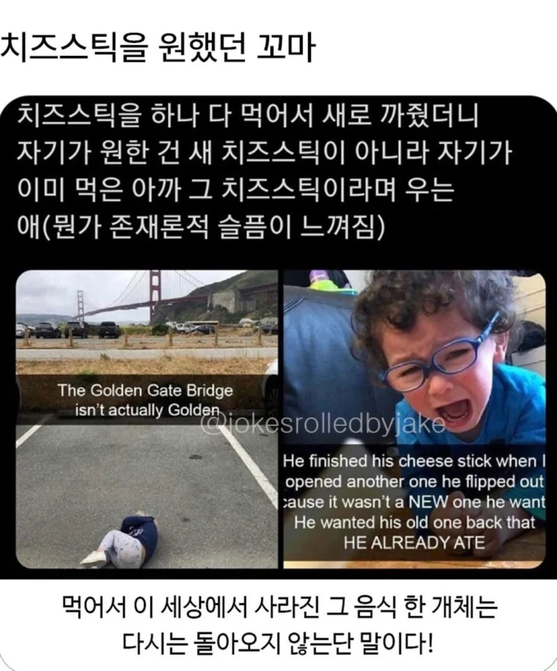 치즈스틱을 원했던 잼민이