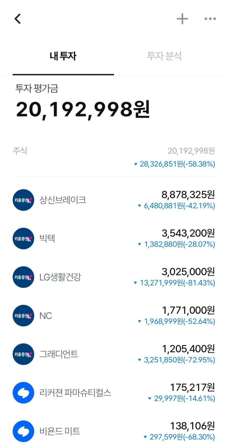 이 불장에 못먹는 국장 투자자